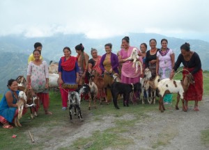 Bhattedanda Women's cooperation